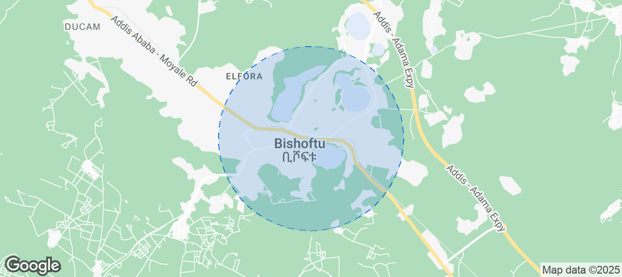 Discover Bishoftu Airbnb Analytics